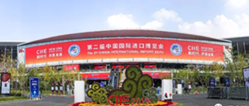 ��ʱ�� ����δ�� | Maple Armor�������������